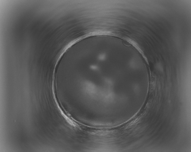 X0000062791245200512290214