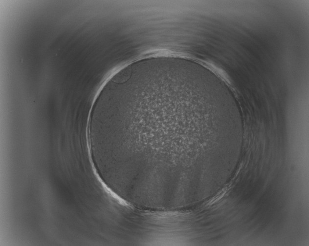 X0000062791247200512290214