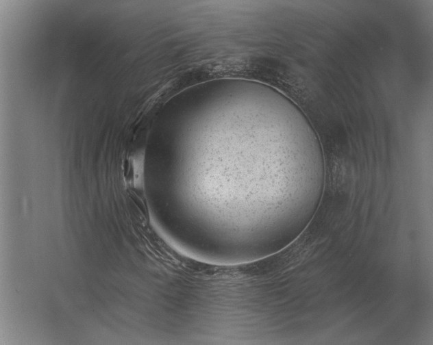 X0000062791250200512290213