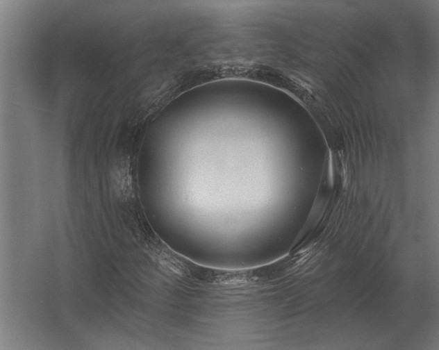 X0000062791252200512290213