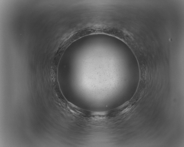 X0000062791253200512290213