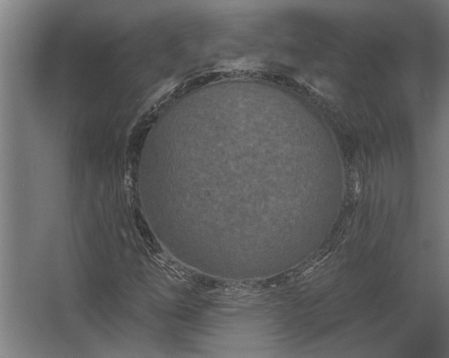 X0000062791254200512290213