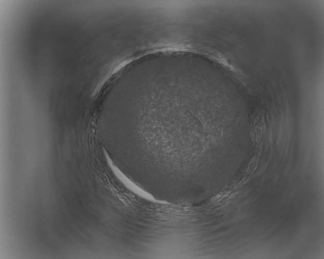 X0000062791255200512290213