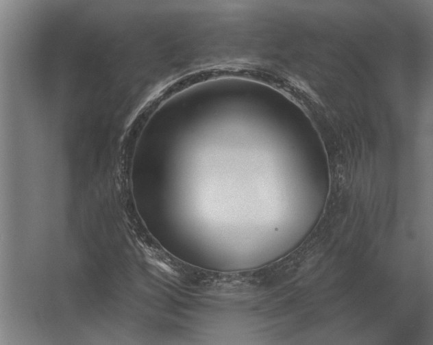 X0000062791256200512290213