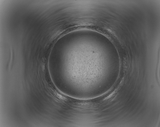 X0000062791257200512290213