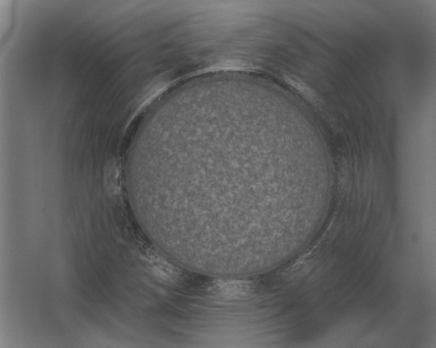 X0000062791258200512290213