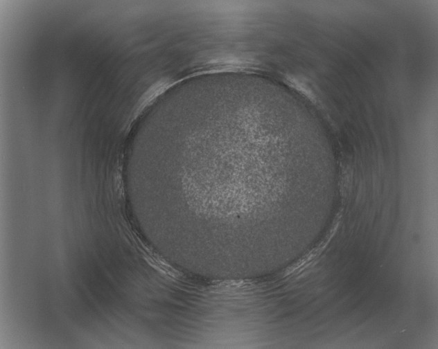 X0000062791259200512290213