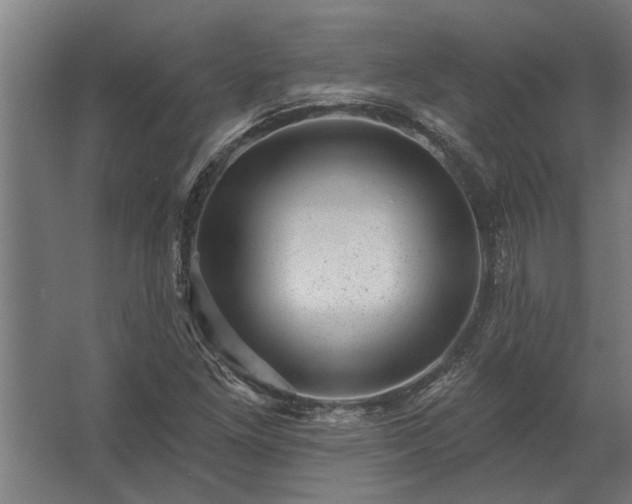 X0000062791261200512290213