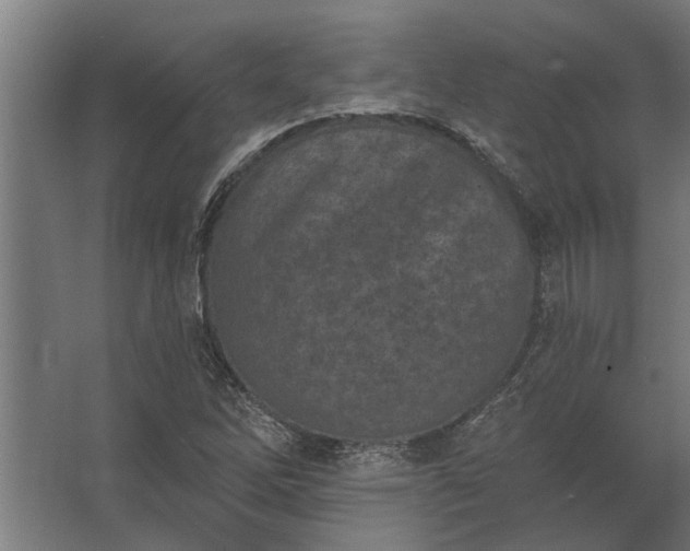 X0000062791262200512290213