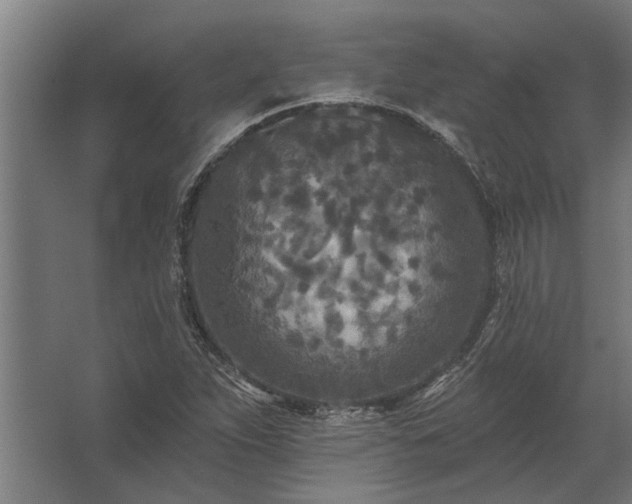 X0000062791263200512290213