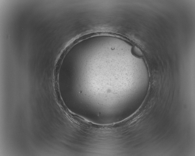 X0000062791264200512290213