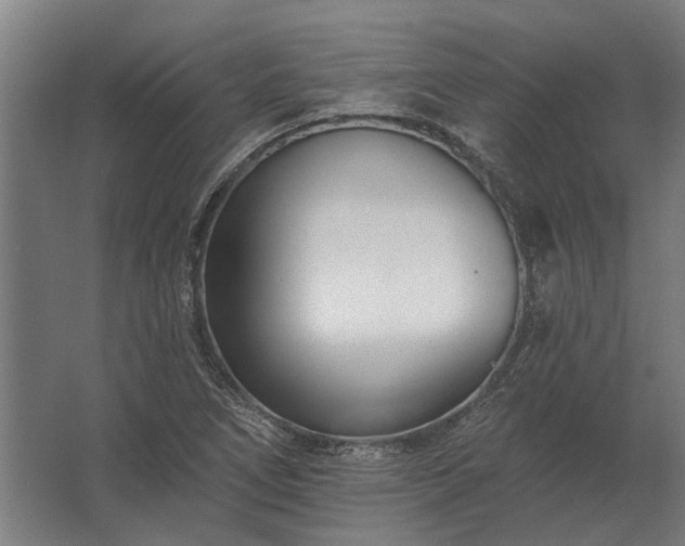 X0000062791266200512290213