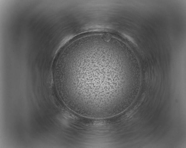 X0000062791267200512290213