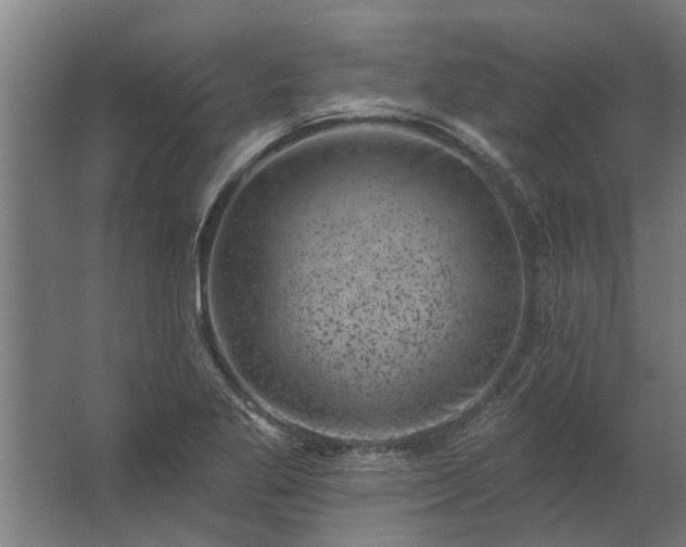 X0000062791269200512290213