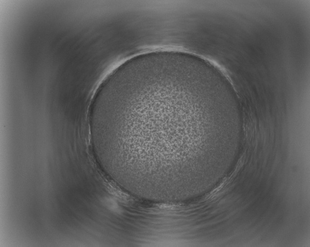 X0000062791271200512290213