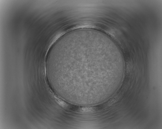 X0000062791274200512290213