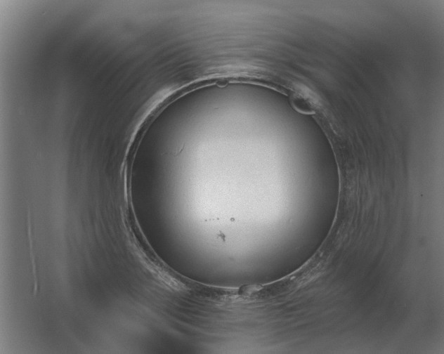 X0000062791275200512290213