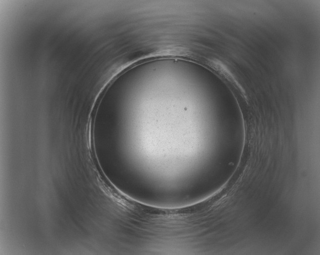 X0000062791276200512290213