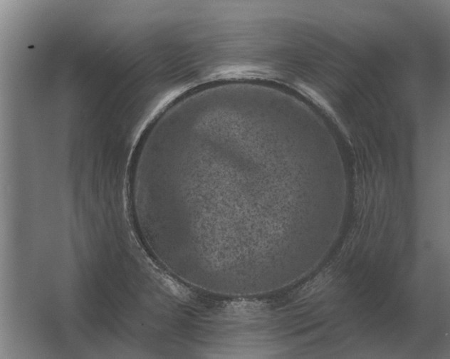 X0000062791277200512290213