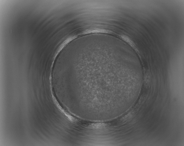 X0000062791282200512290213