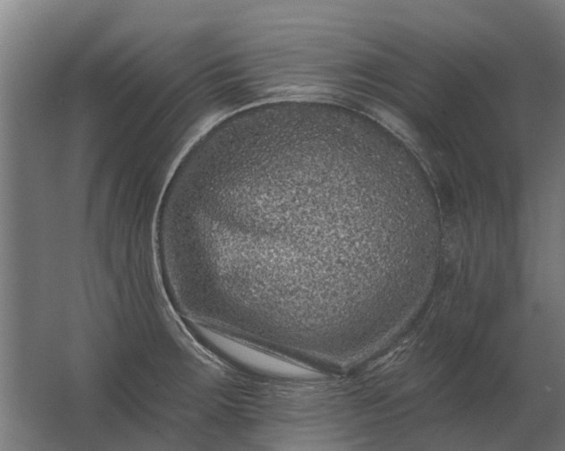 X0000062791283200512290213