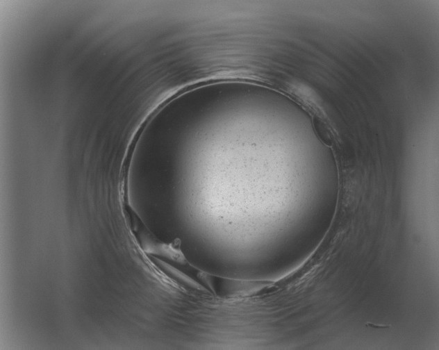 X0000062791284200512290213