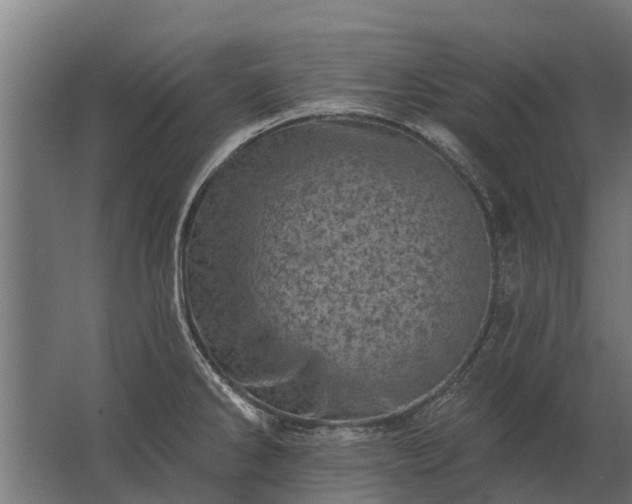 X0000062791286200512290213