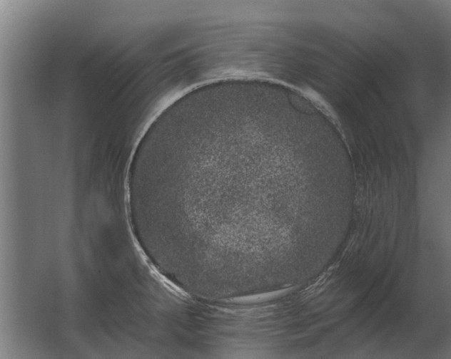 X0000062791287200512290213