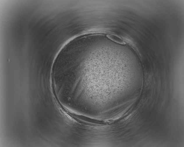 X0000062791288200512290213