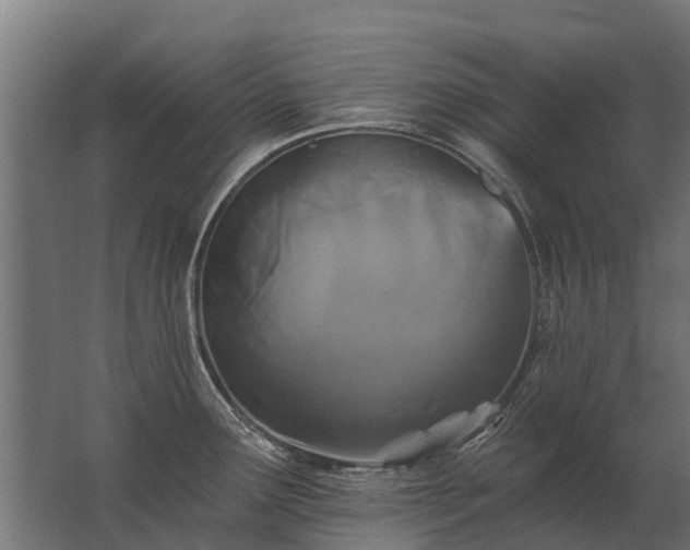 X0000062791291200512290213