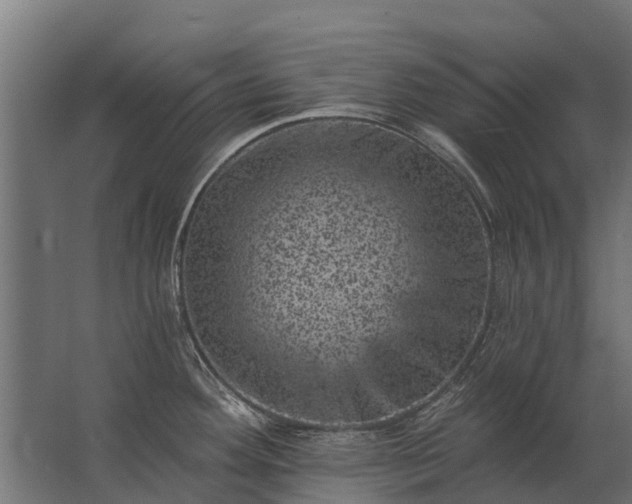 X0000062791292200512290213