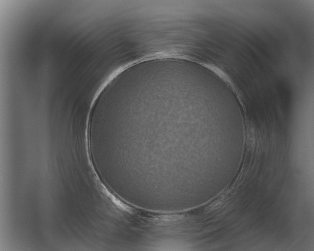 X0000062791294200512290213