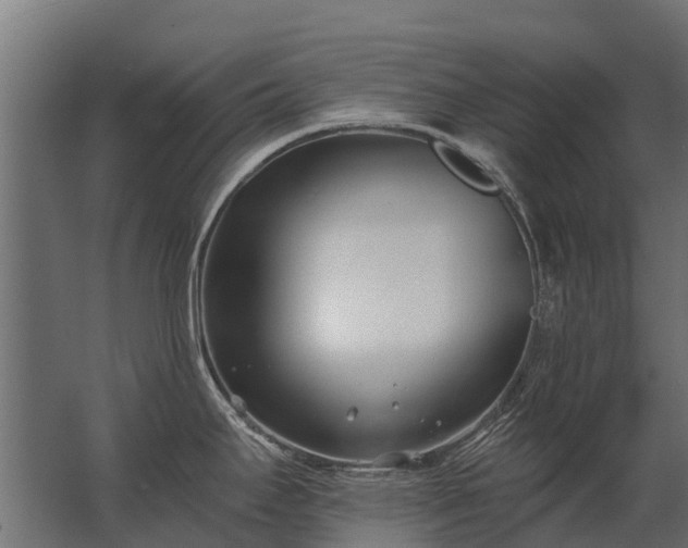 X0000062791295200512290213