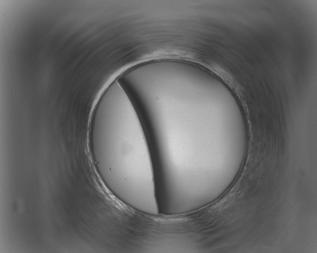 X0000062791296200512290213