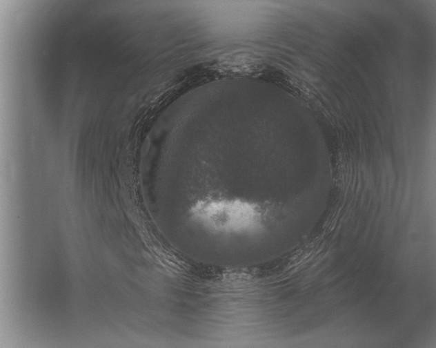 X0000062791297200512290212