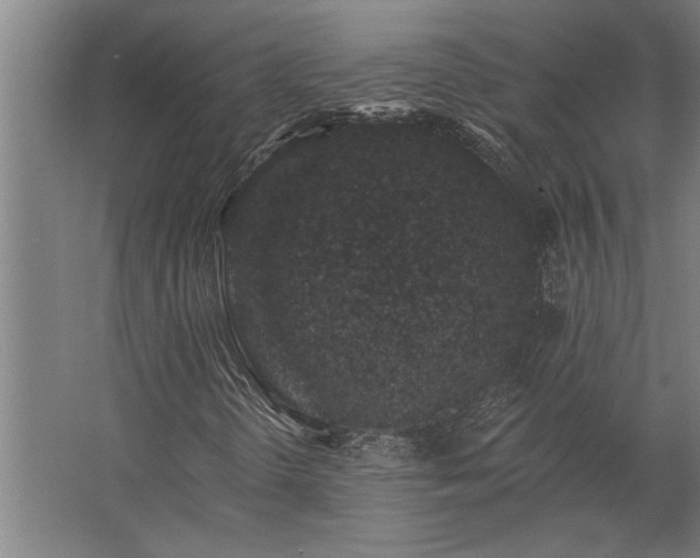 X0000062791298200512290212