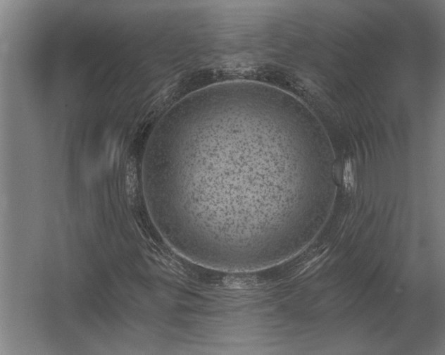 X0000062791299200512290212