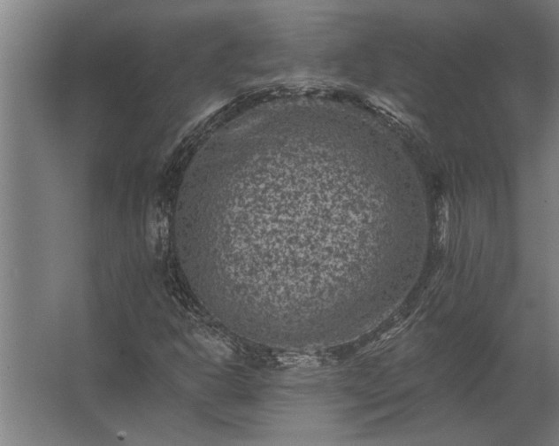 X0000062791302200512290212