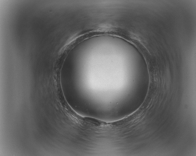 X0000062791304200512290212