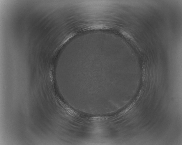 X0000062791305200512290212