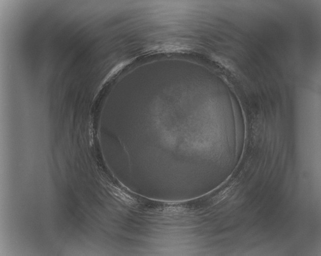 X0000062791306200512290212