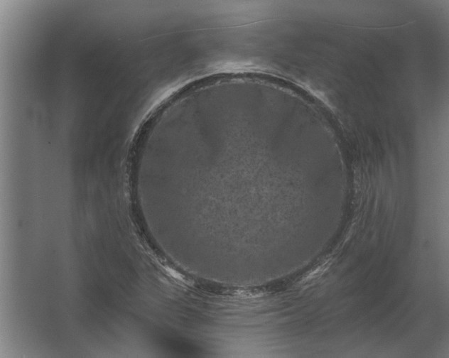 X0000062791311200512290212