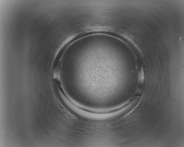 X0000062791317200512290212