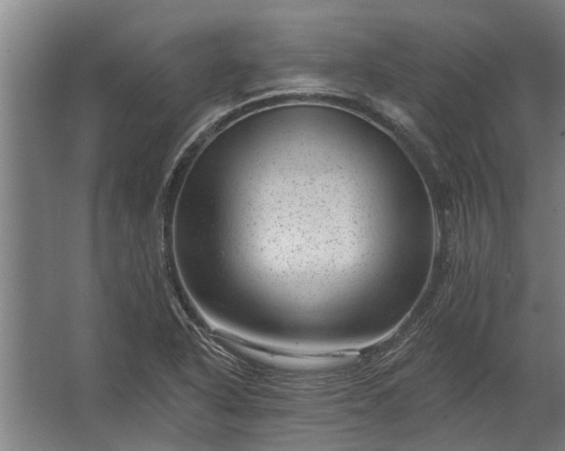 X0000062791318200512290212