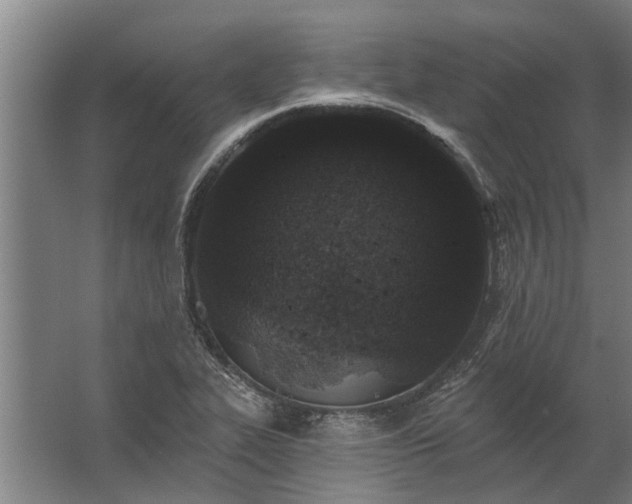 X0000062791319200512290212