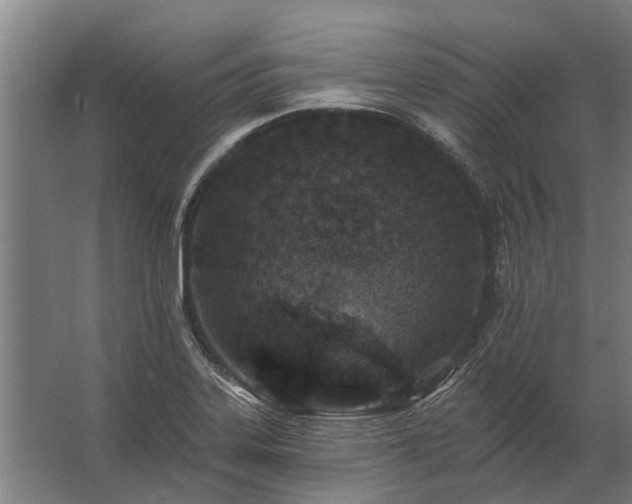 X0000062791323200512290212