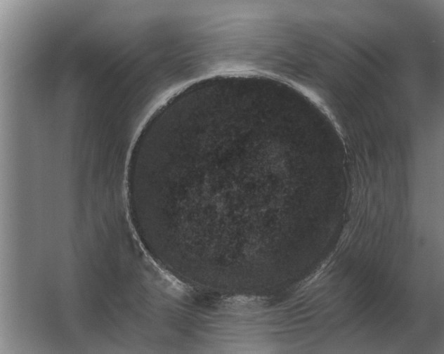 X0000062791327200512290212