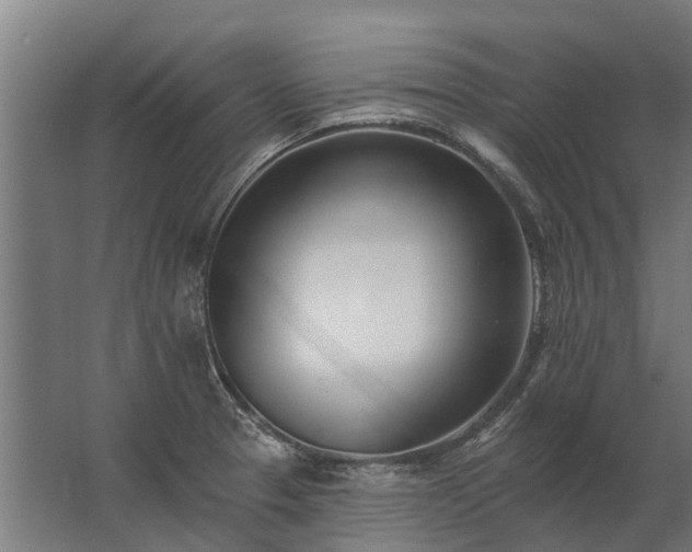 X0000062791329200512290212