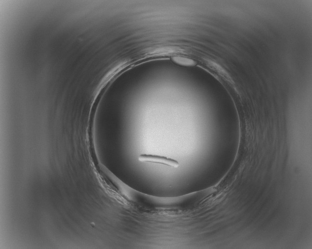 X0000062791330200512290212