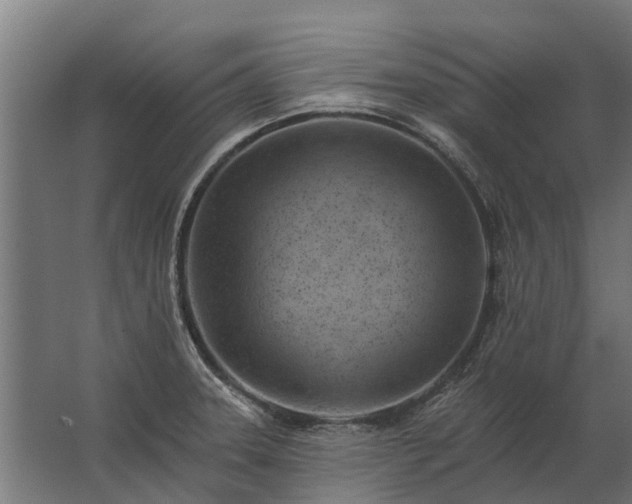 X0000062791331200512290212